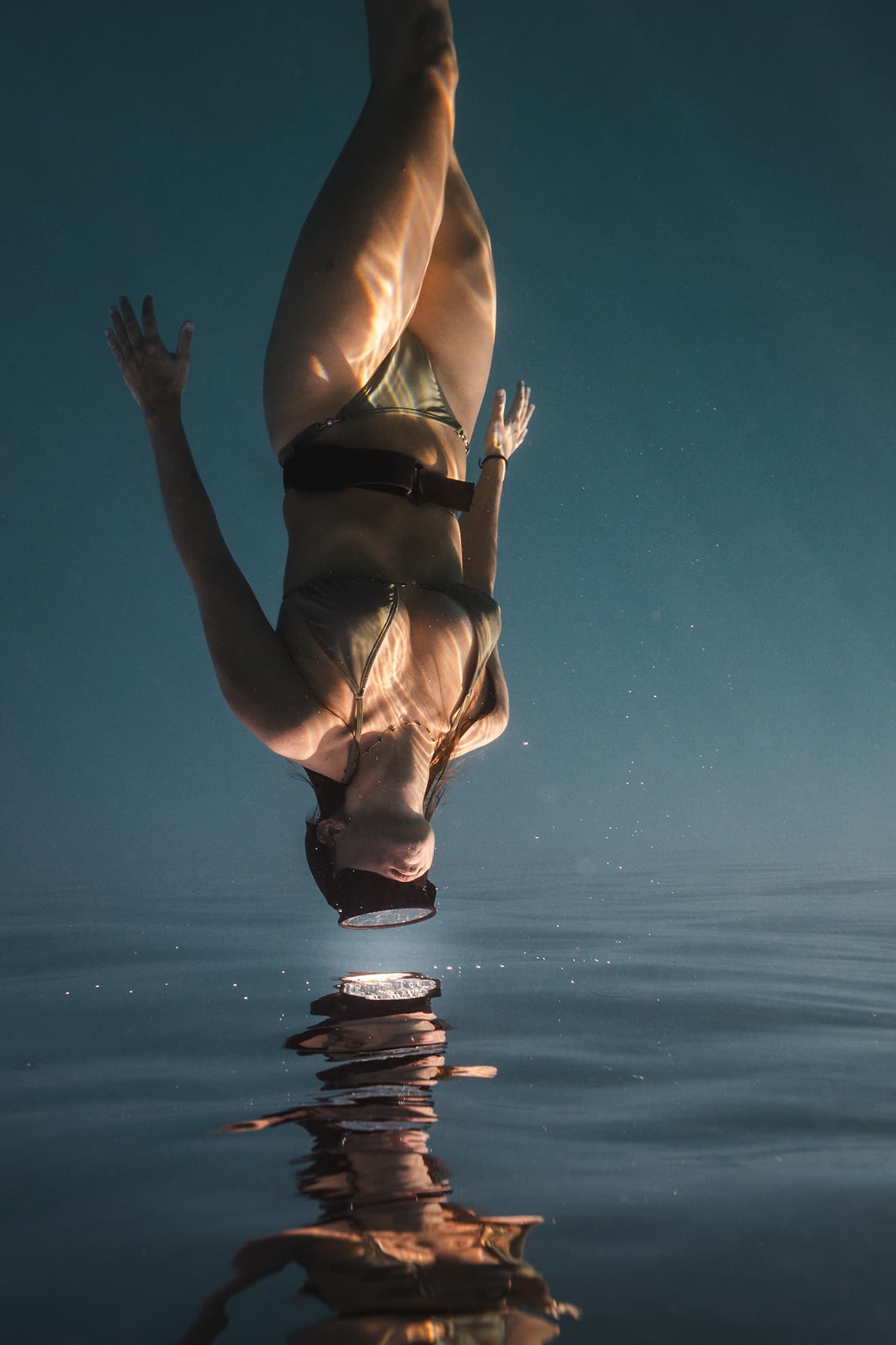Underwater photograph by Shapes of Blue, Moorea