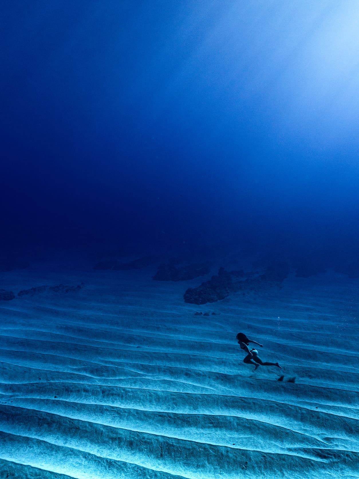Underwater photograph by Shapes of Blue, Moorea
